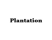 Plantation